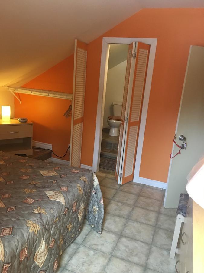 Gite De La Pisciculture Bed & Breakfast Saint-Faustin-Lac-Carre Exterior photo