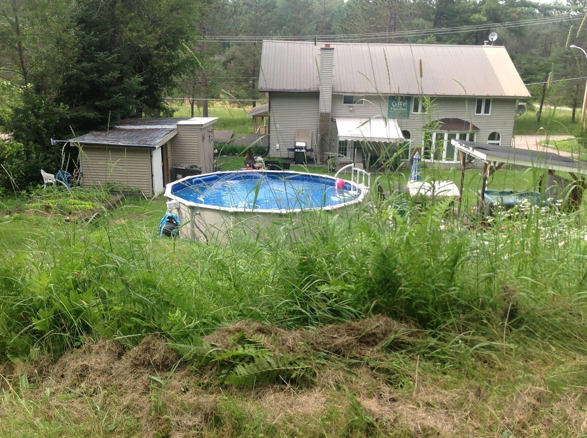 Gite De La Pisciculture Bed & Breakfast Saint-Faustin-Lac-Carre Exterior photo