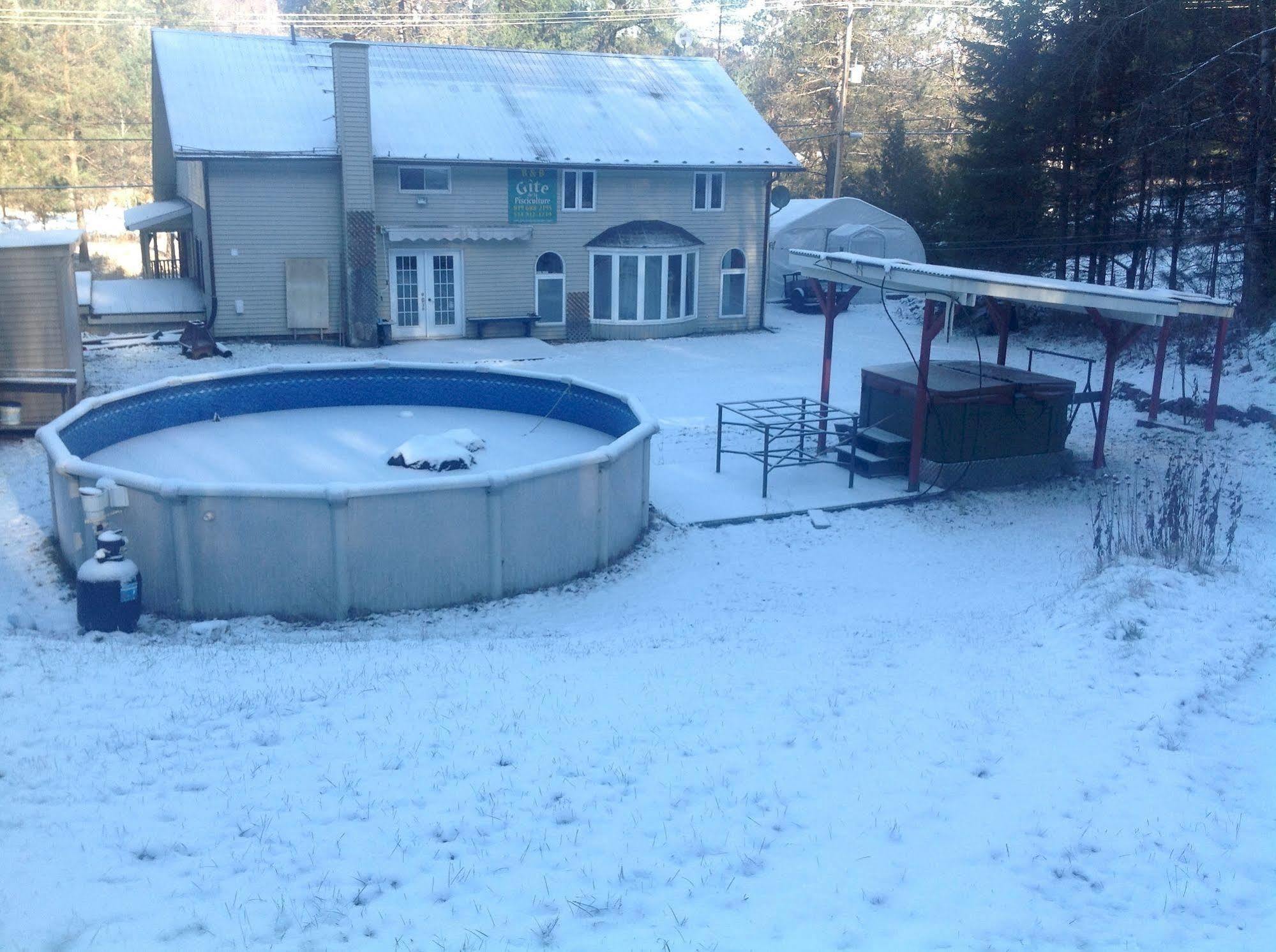 Gite De La Pisciculture Bed & Breakfast Saint-Faustin-Lac-Carre Exterior photo